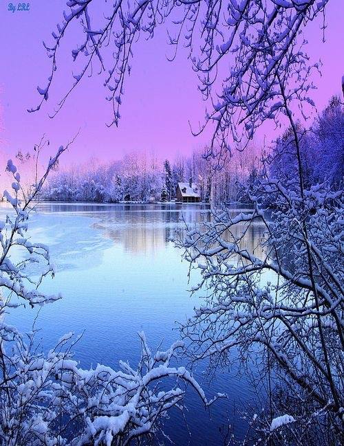 Mauve