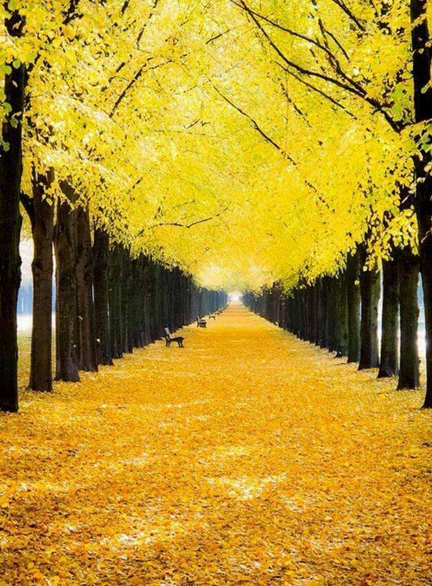 Le chemin du sablier