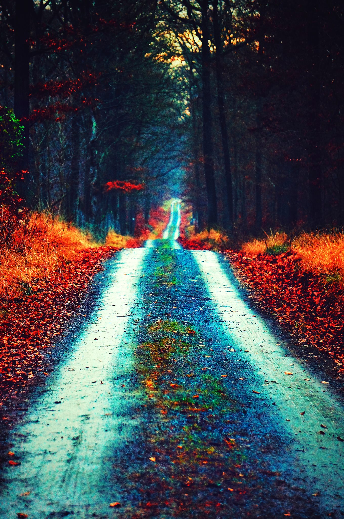 La route de la vie