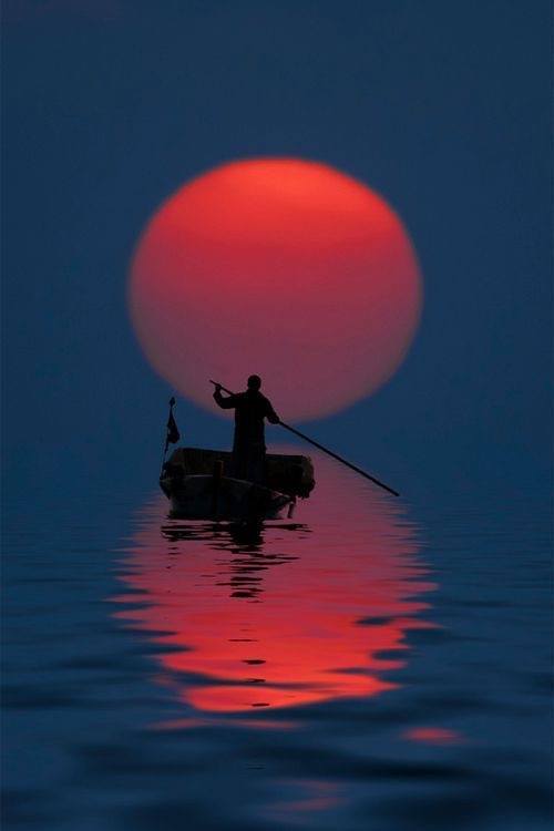 Entre les horizons