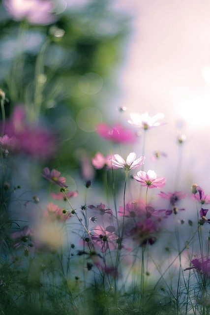Un parfum de confiance