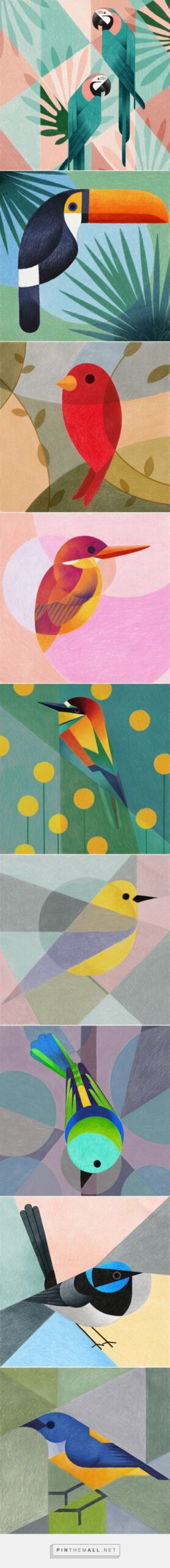 Drôles d’oiseaux