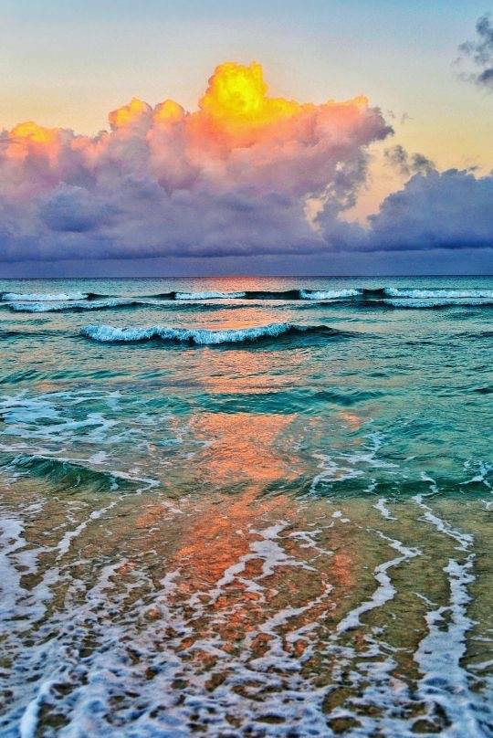 Les vagues de renaissance