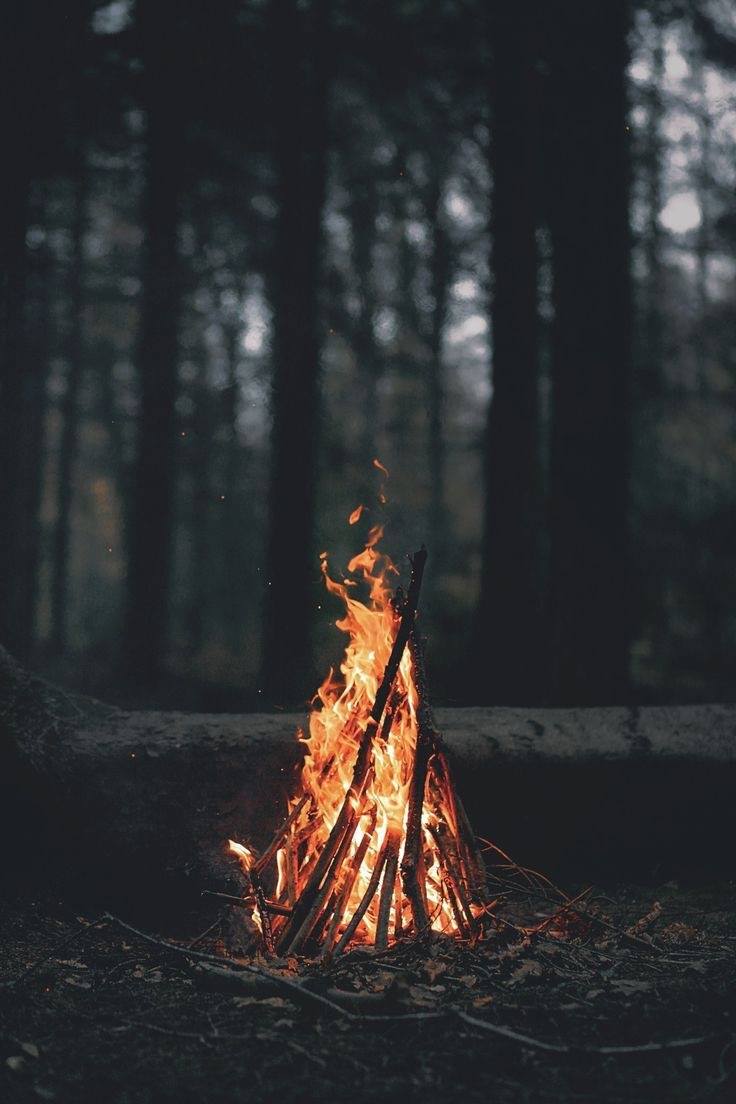 Feu de nous