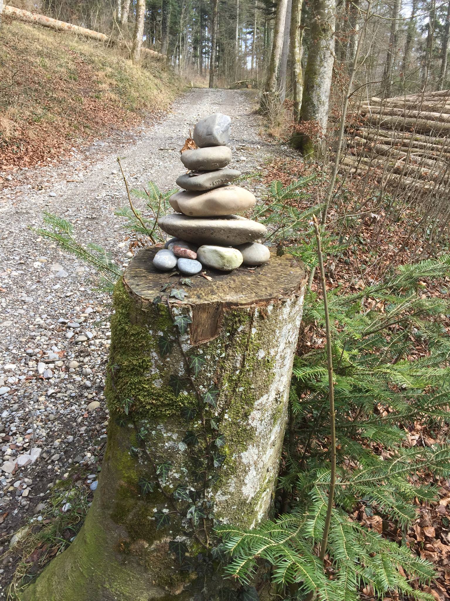 Les pyramides germaines