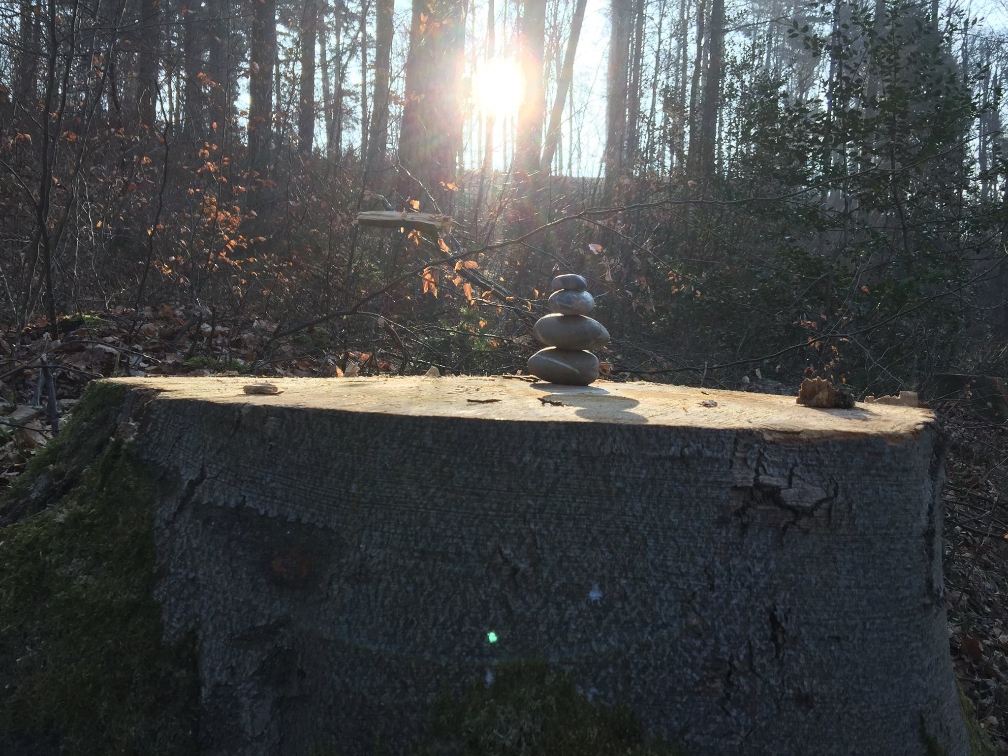 Le soleil enfanteur