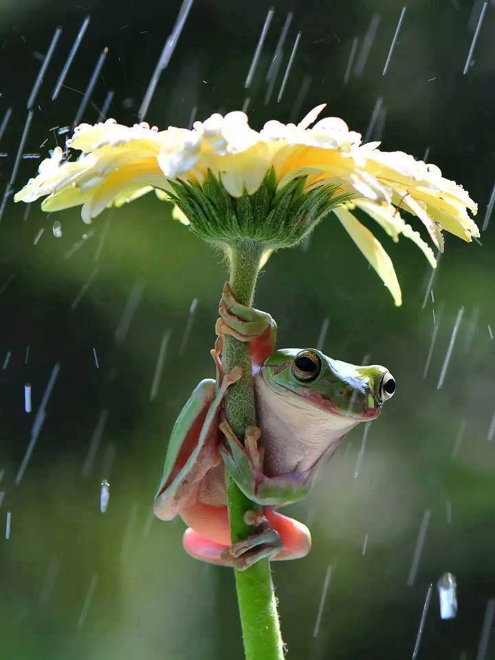 22, c'est le printemps !