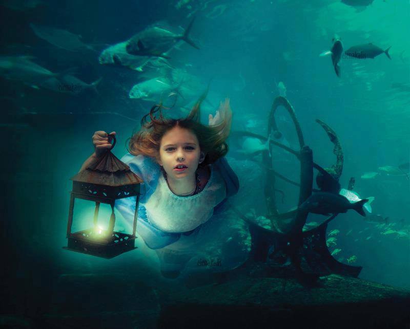 Mais où sont passés les poissons ?