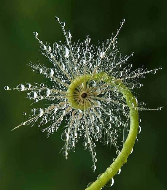 La spirale de création