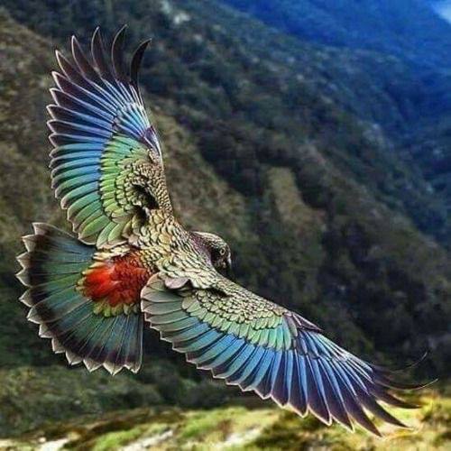 L’ascension des couleurs
