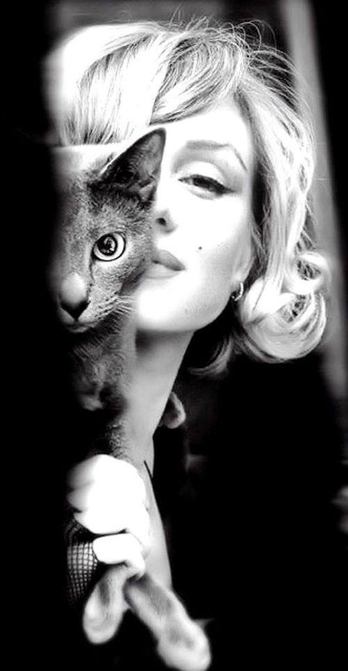 Minette et minou
