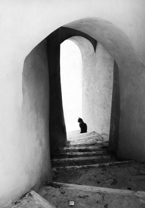 L’heure du minet
