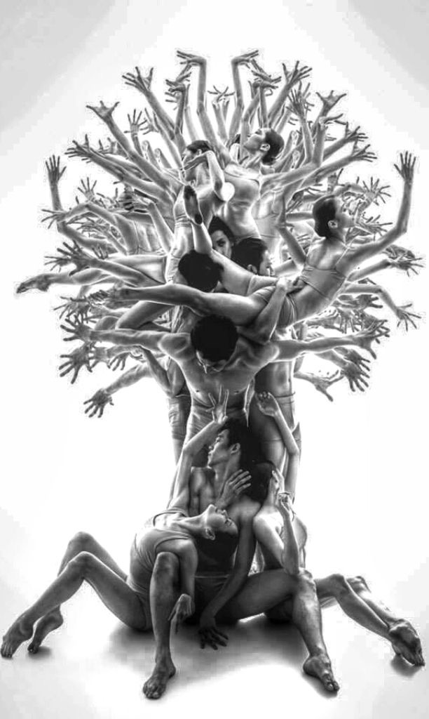 Image galerie