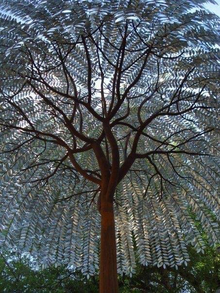 Sous les ailes de l’arbre
