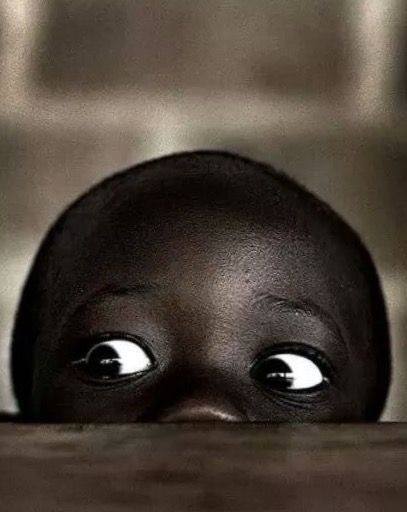 Le regard neuf