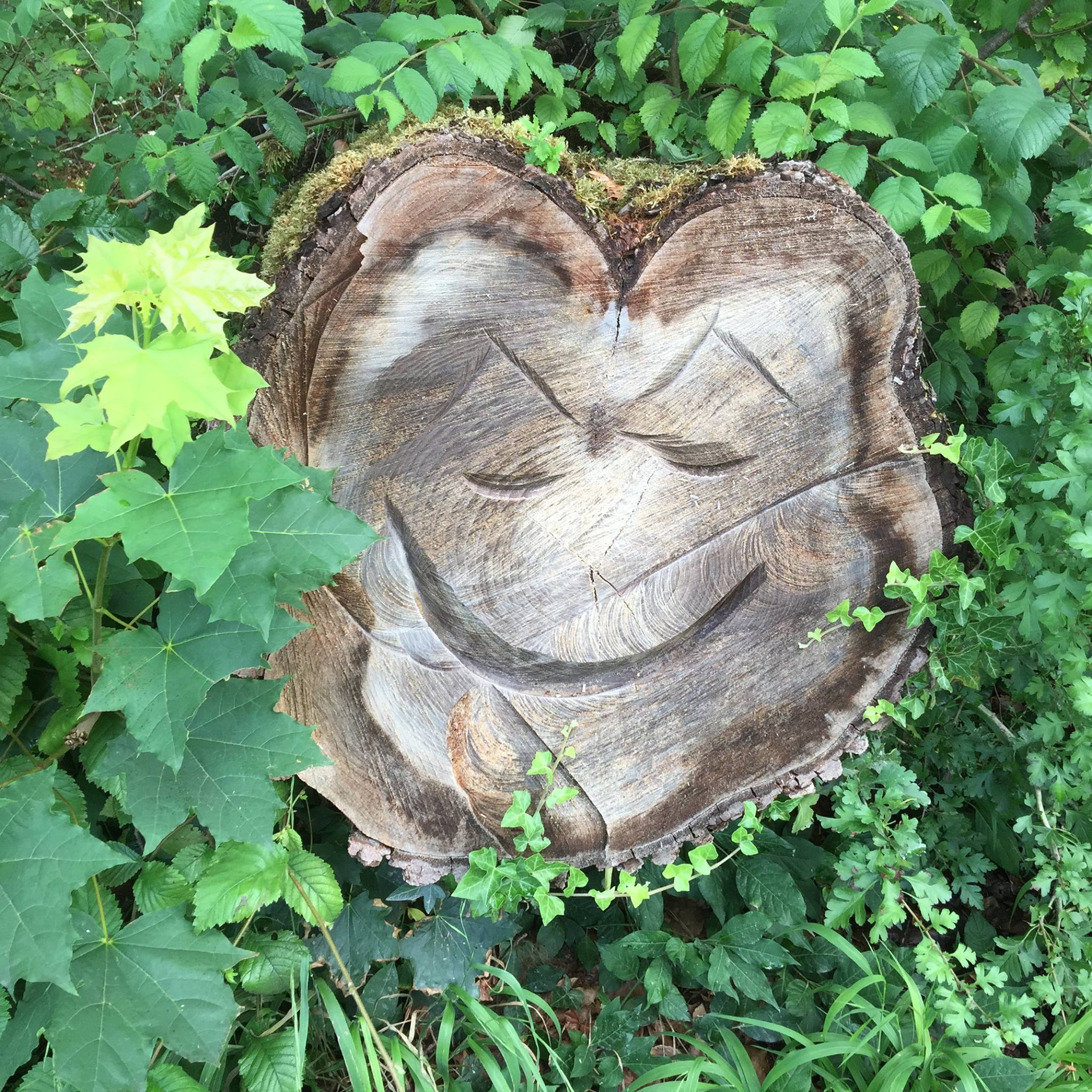 Le sourire de la forêt