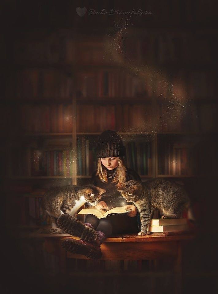 Quand les chats lisent