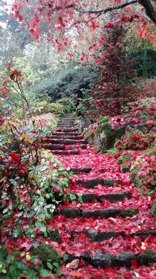 Le chemin de Marie