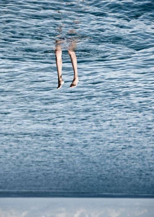 Le réchauffement climatique