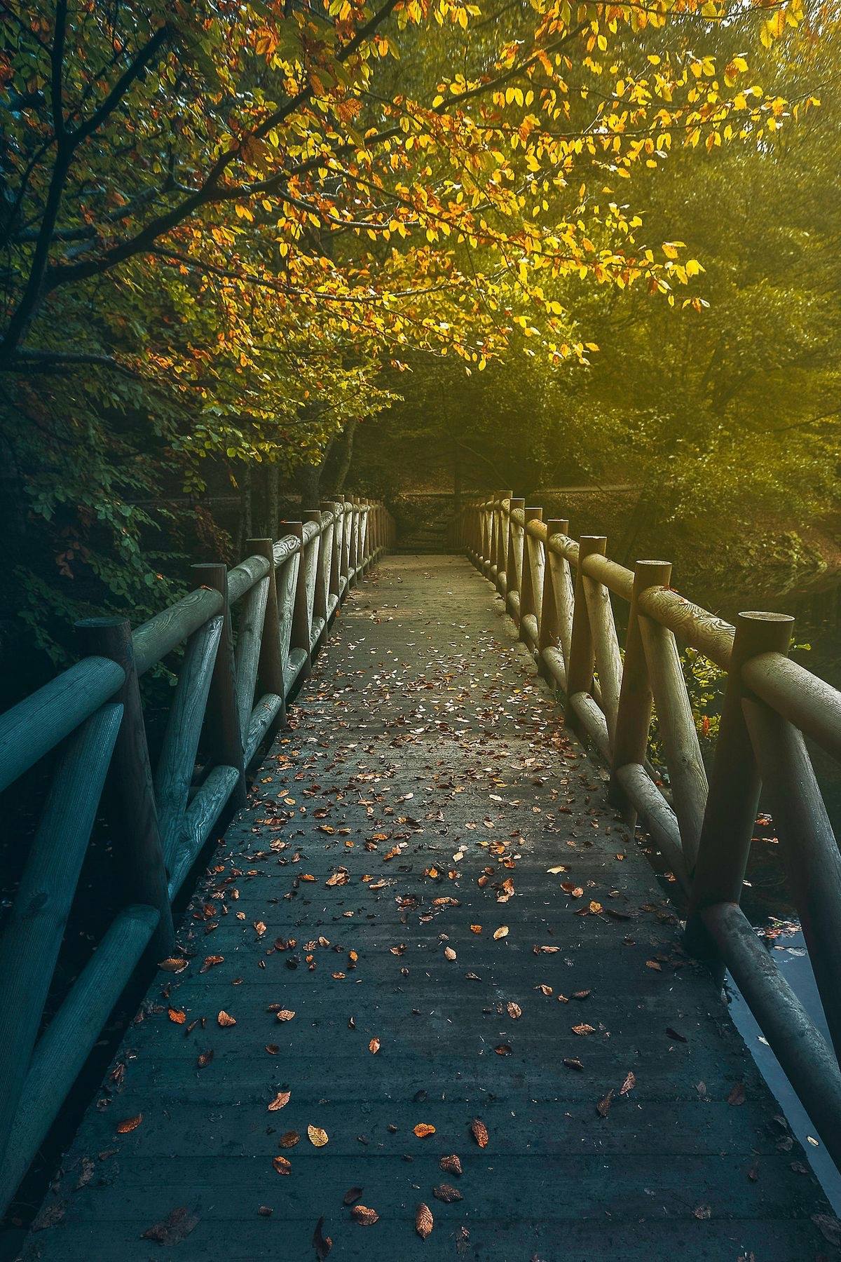 Le pont de l’automne