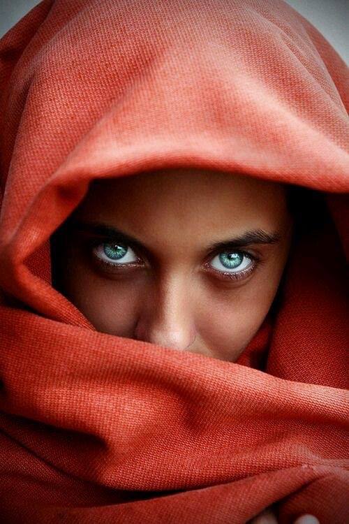 Regard d’automne