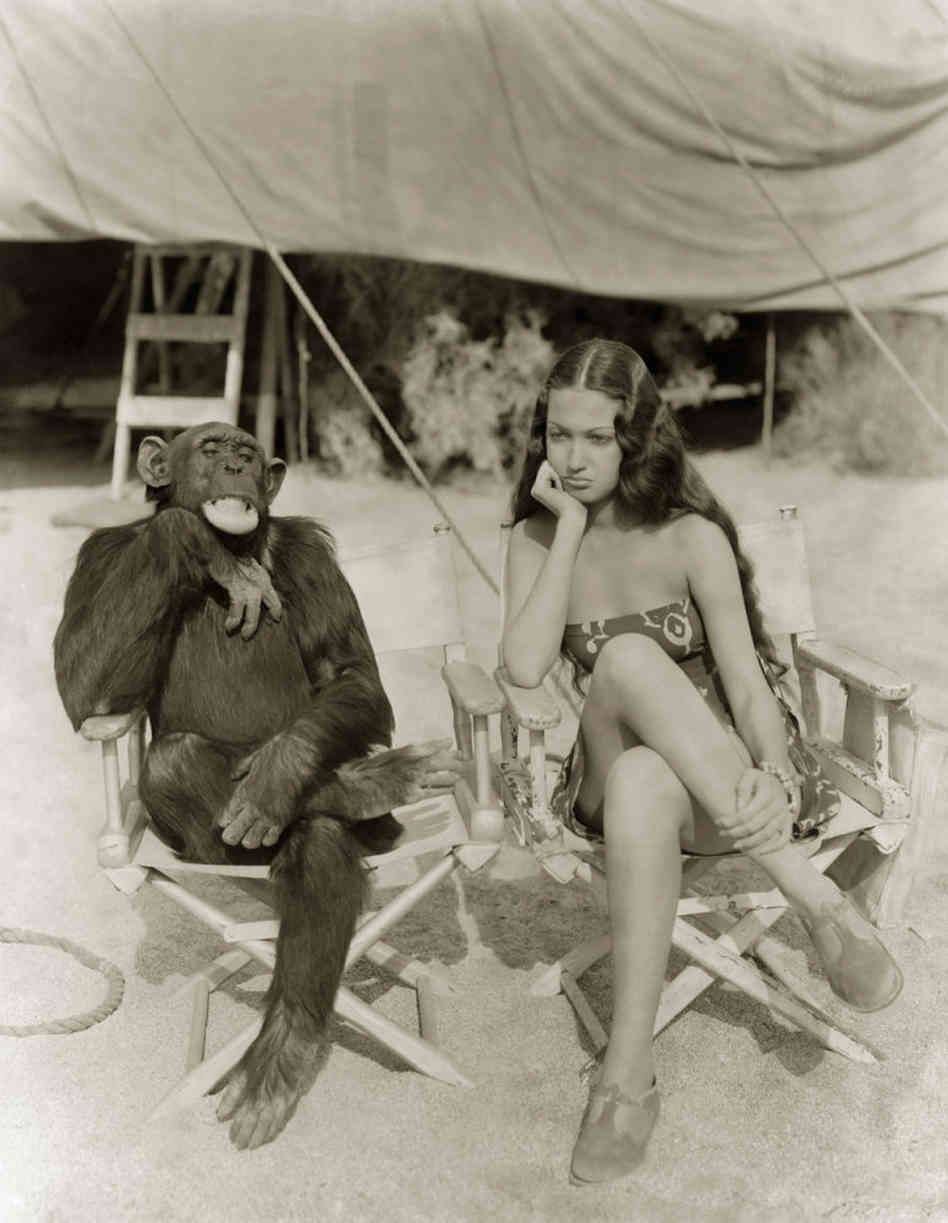 Mon singe et moi