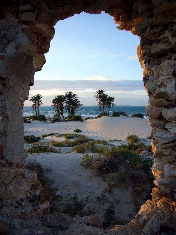 Subitement sur le rivage