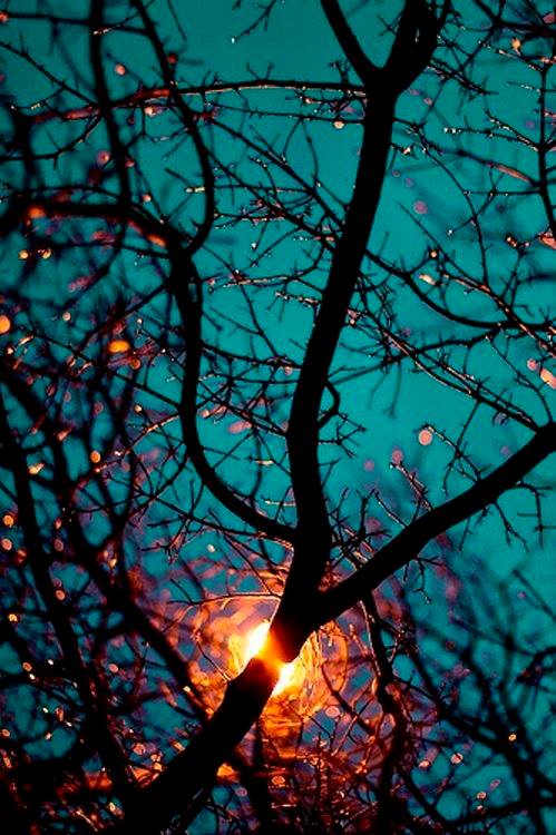 L’incandescence des sens