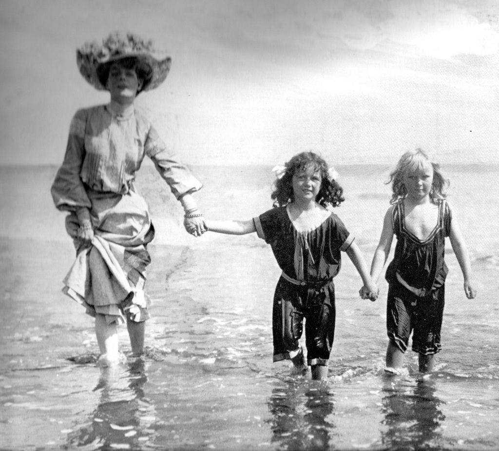 Les belles étoiles de mer