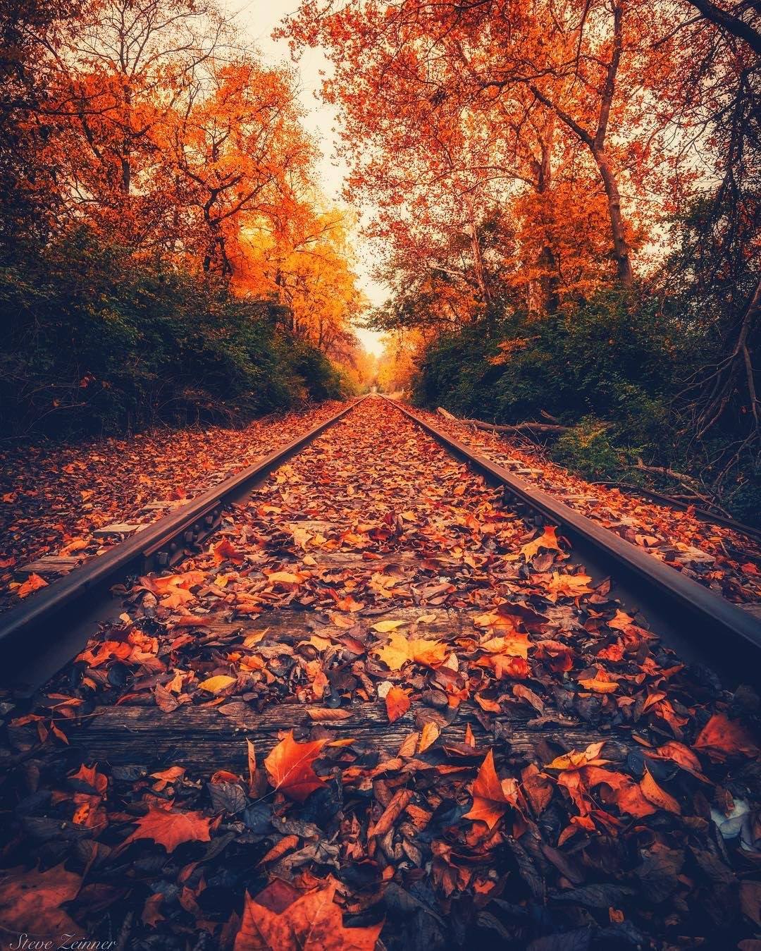Jamais ne déraille le temps