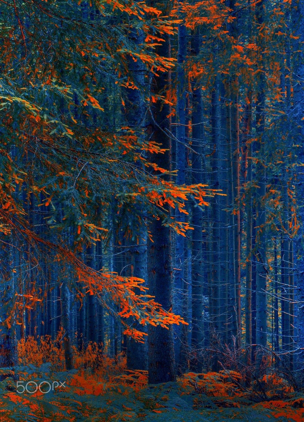 Le blues de novembre