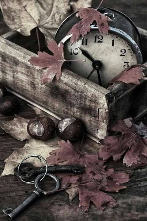 Morte saison - 1