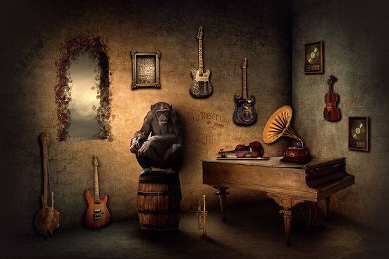 La musique de singe