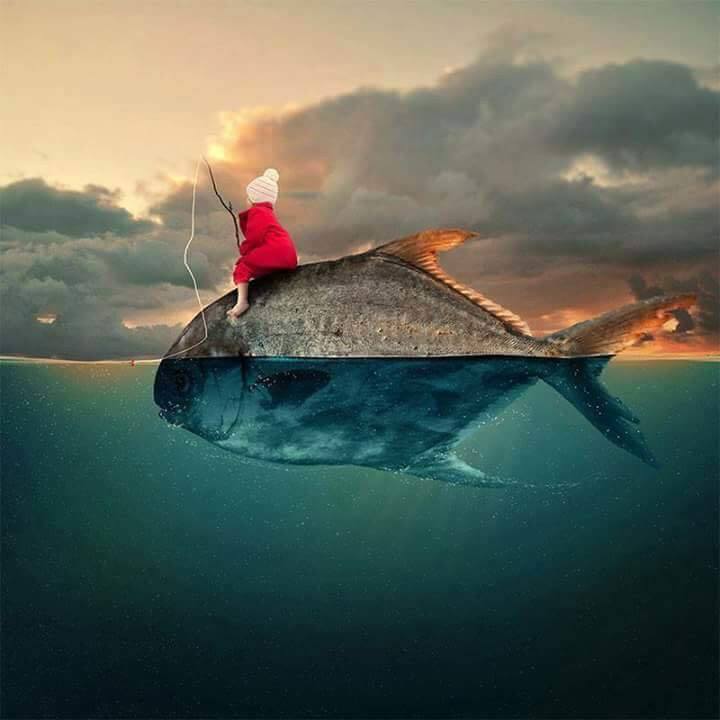 Quand il n’y aura plus de poisson