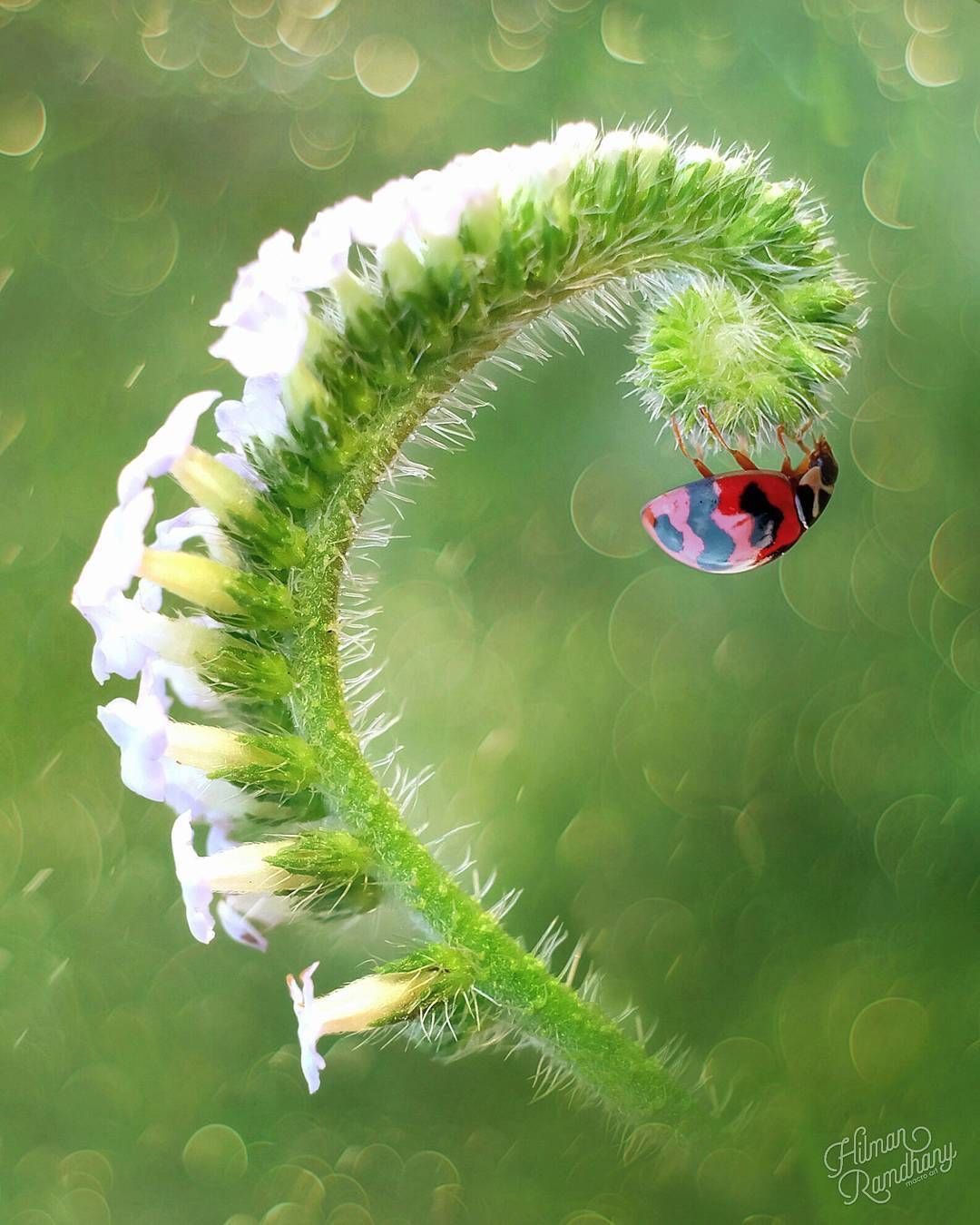 Spirales de vies