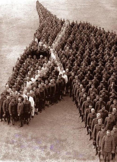 Cheval te le souhaiter