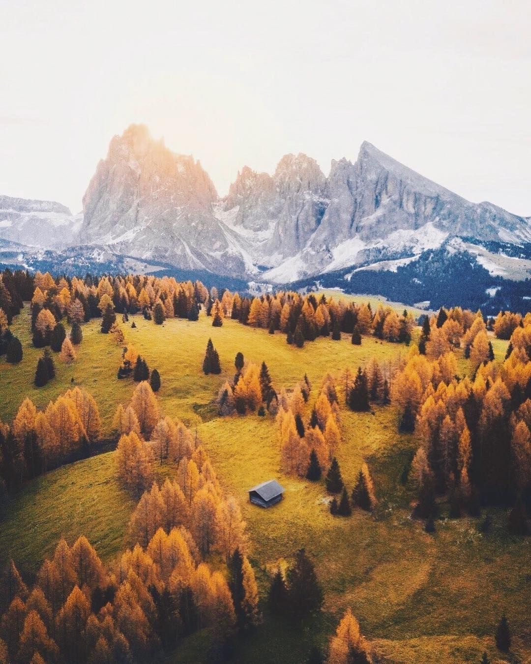 Les Alpes jaunes