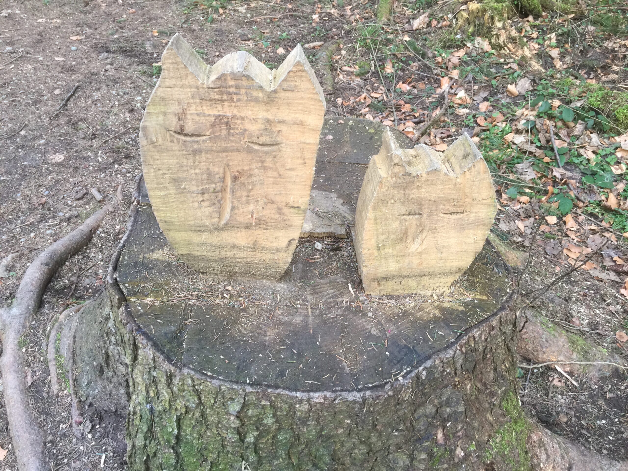Chouette de bois !