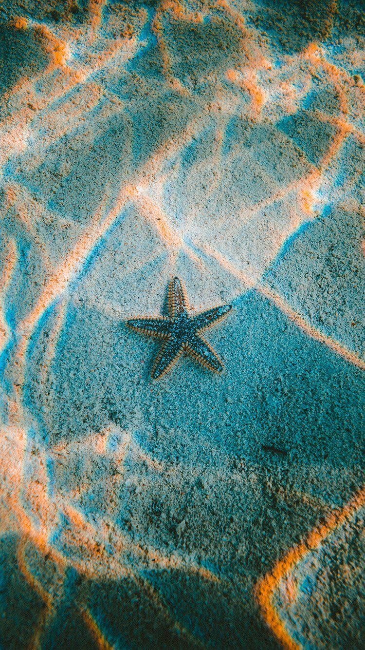 La couleur des étoiles