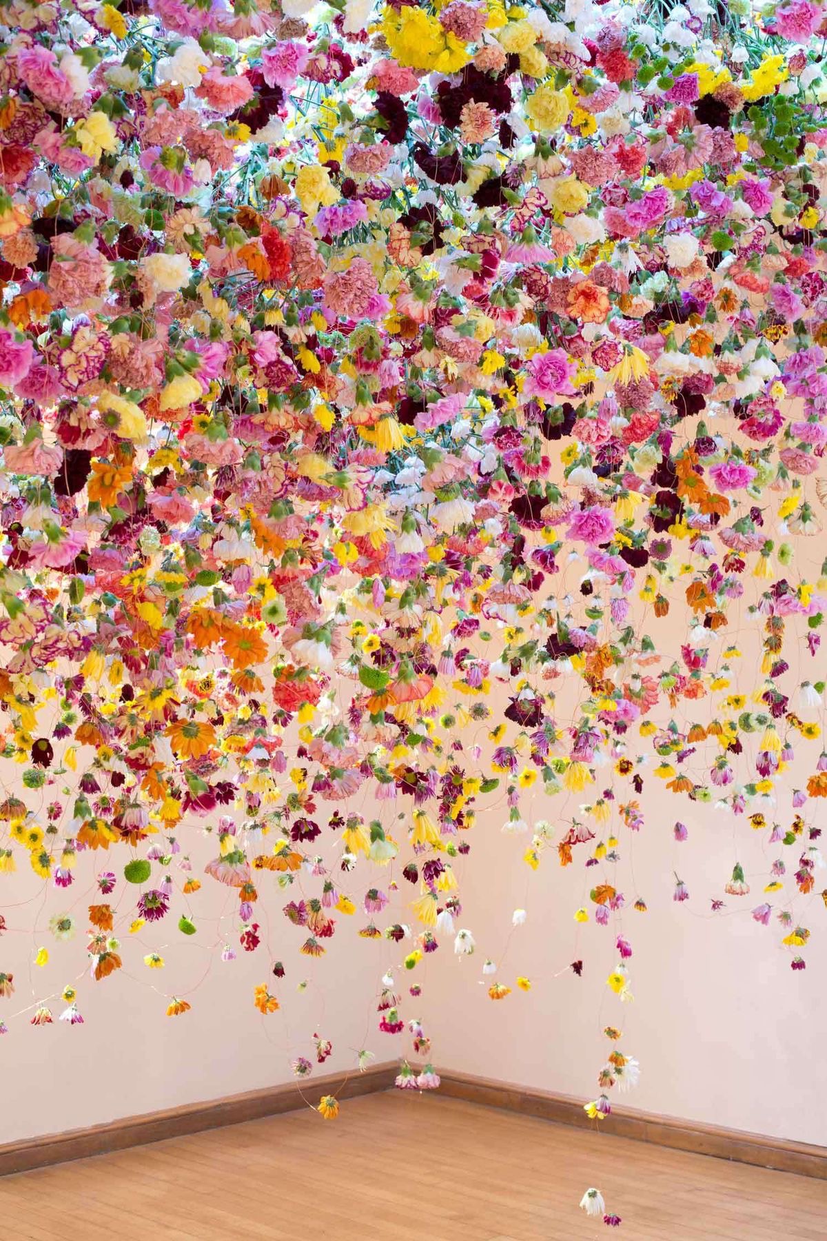 365 fleurs 1/4