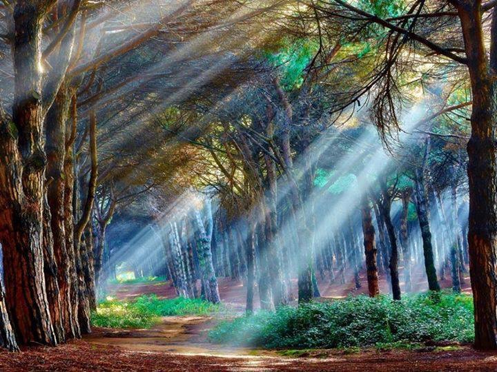Les pièges de lumière
