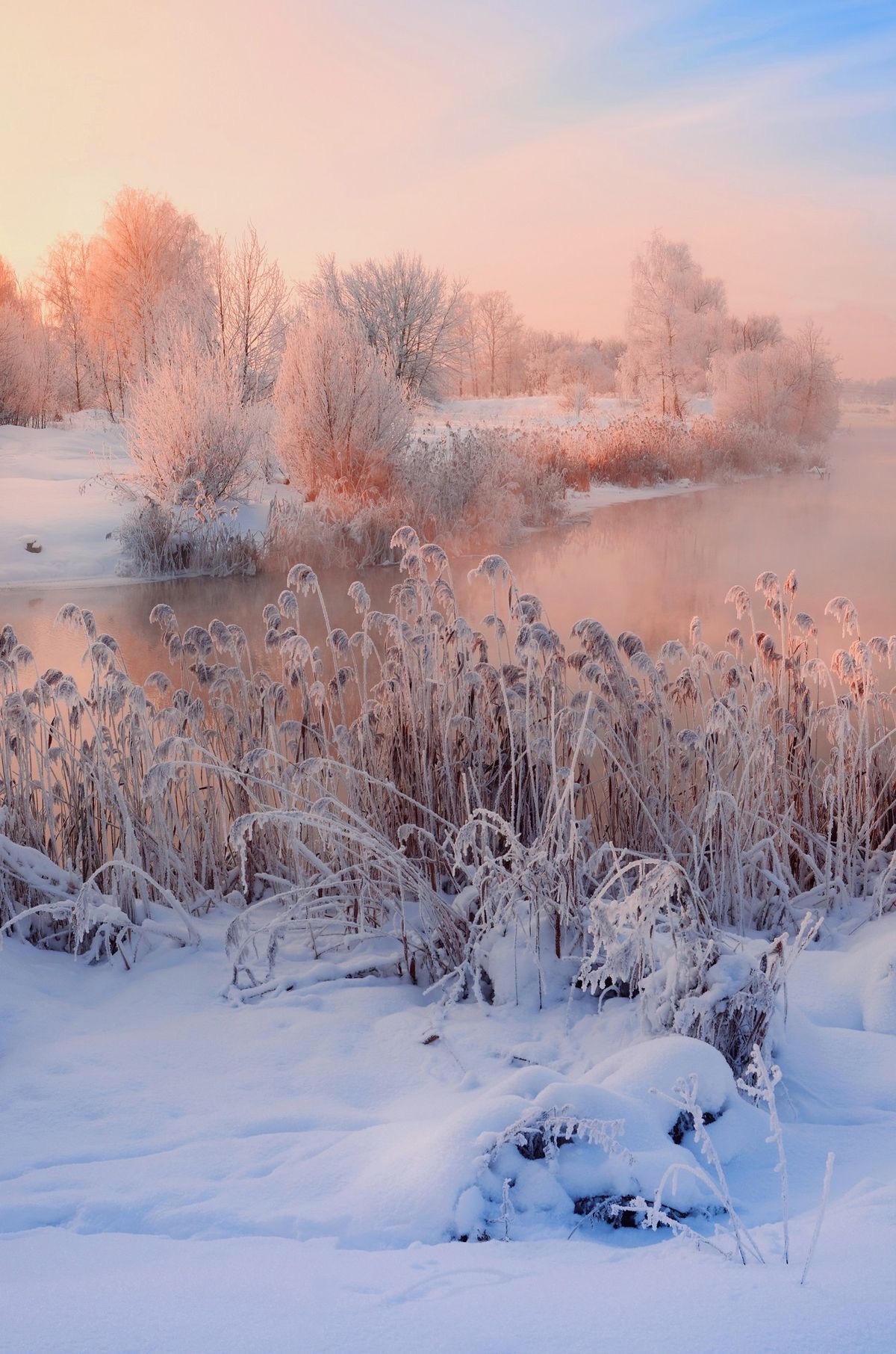 Paysage de cuivre