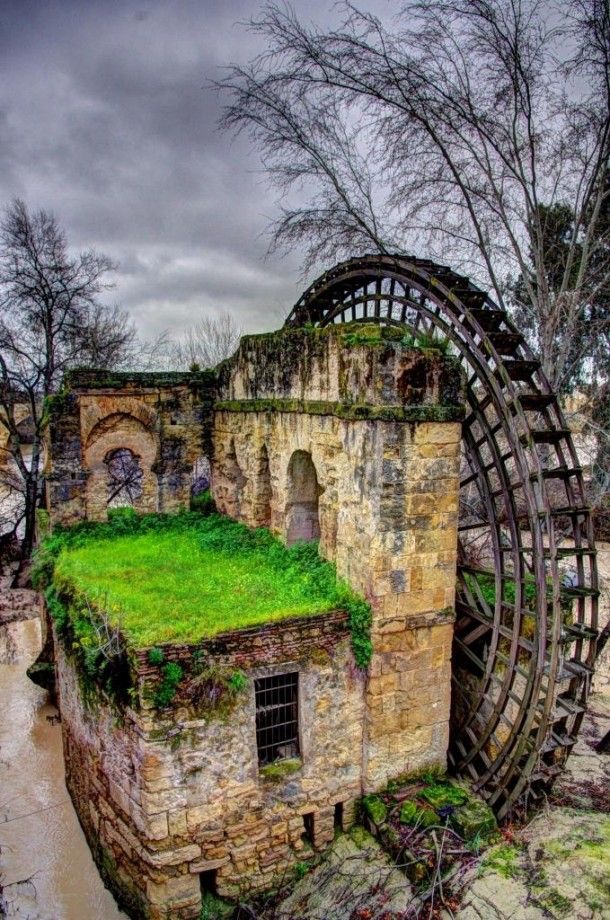 Le capitaine du moulin