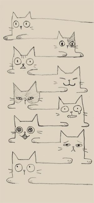 Chat s’est croisé