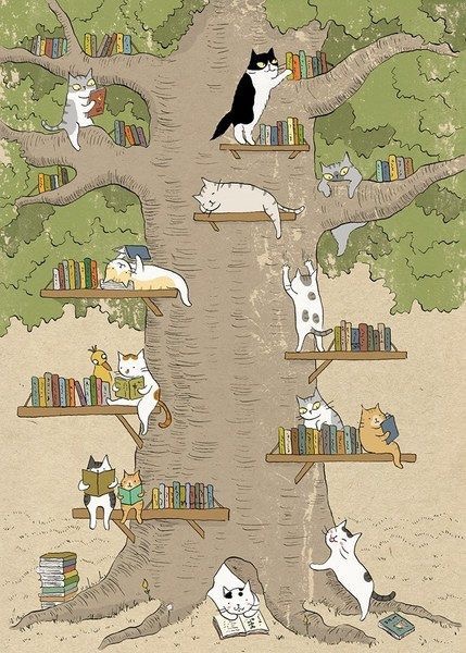 Chat lit, chat lu