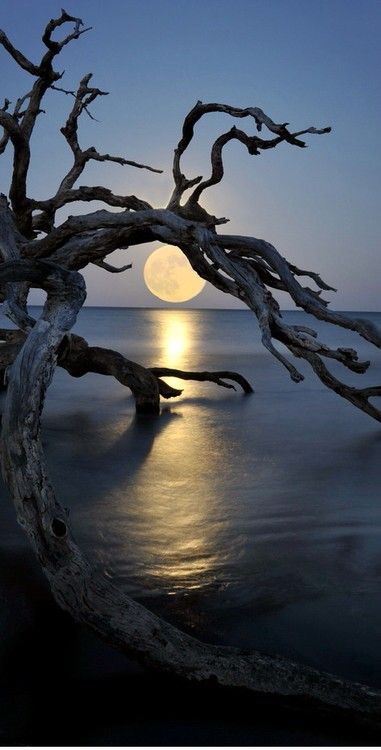 La lune chaste