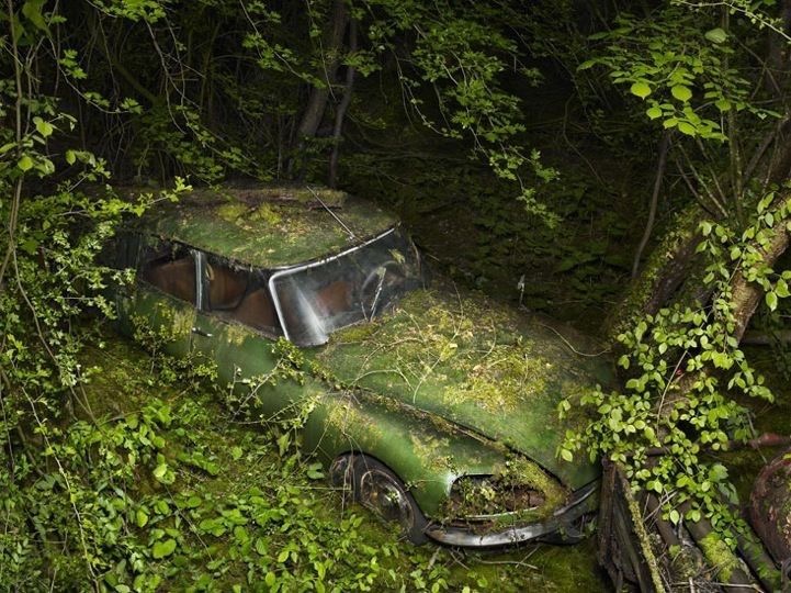 La déesse des forêts