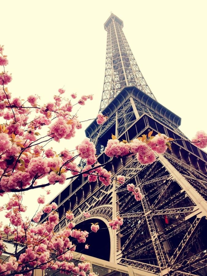 Les roses du temps
