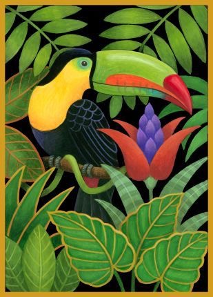 Toucan, tant pis