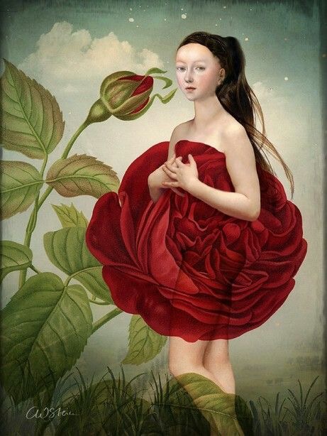 Rose éternelle